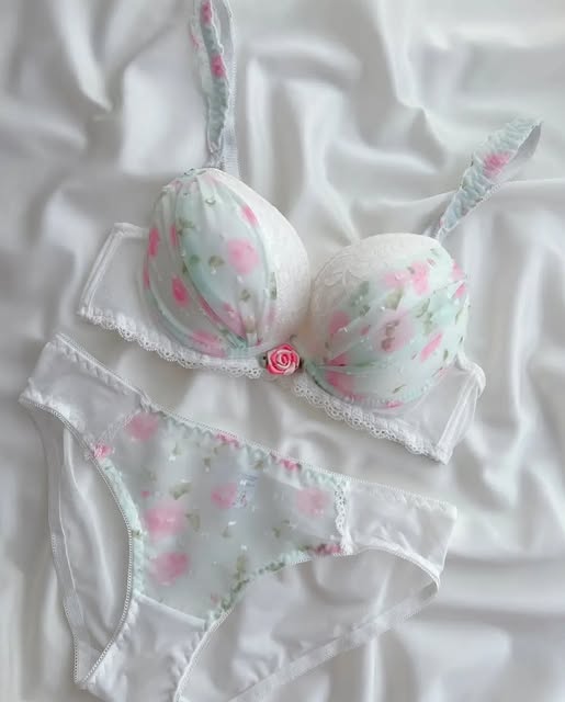 Pack of 3 Blush Petal Lace Bra Set
