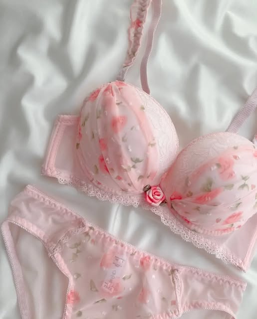 Pack of 3 Blush Petal Lace Bra Set
