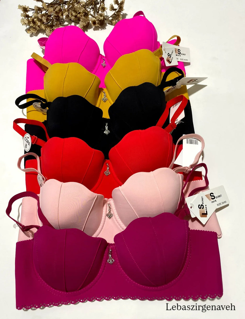 Imported Laser-Cut Shell Bandeau / Strapless Bra